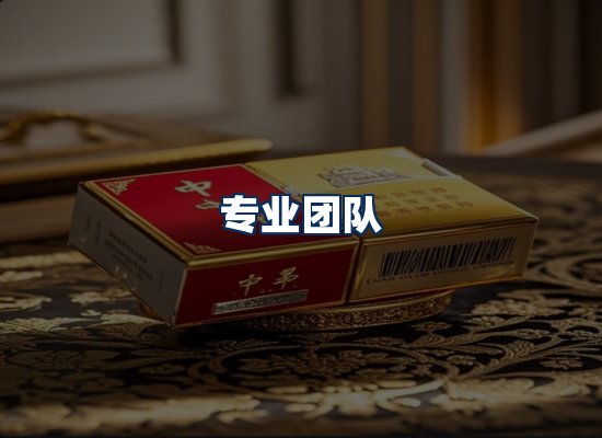 专业团队